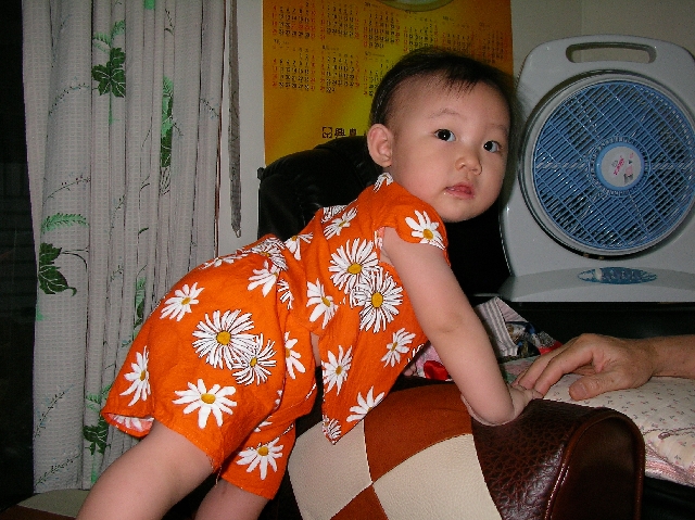 蓉蓉