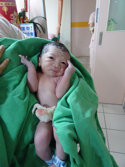小柚子報到