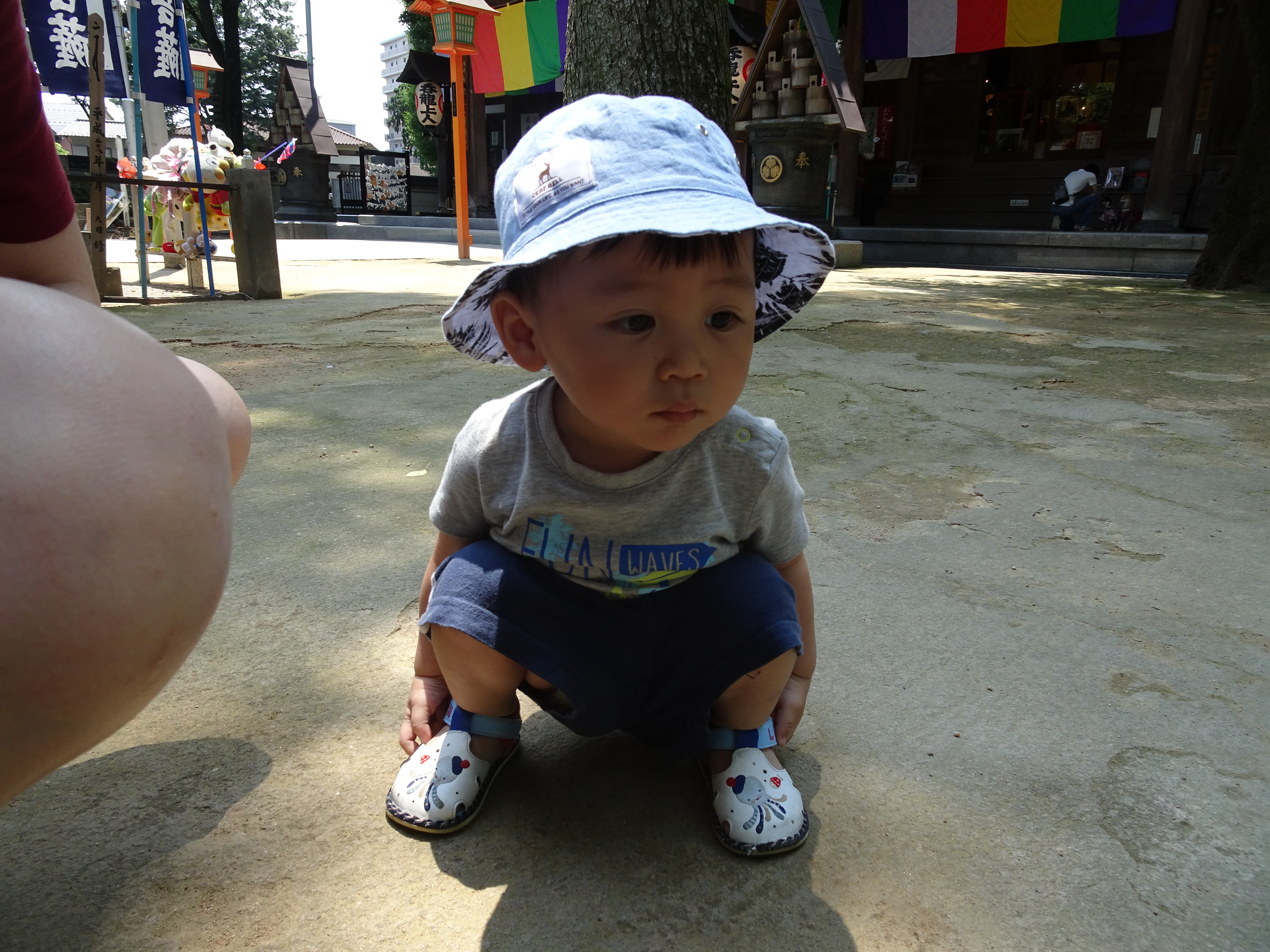 日本行